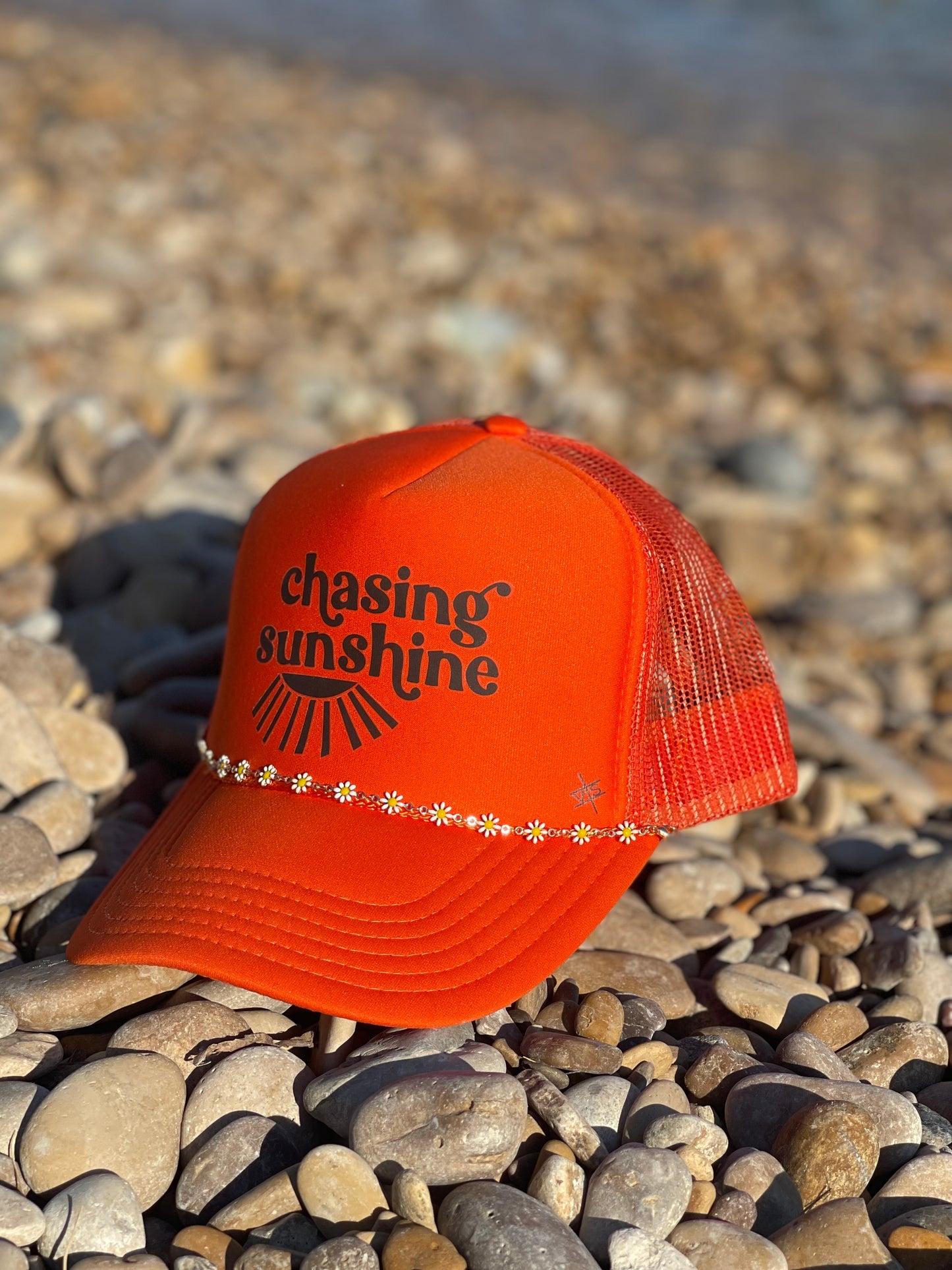 Chasing Sunshine Trucker
